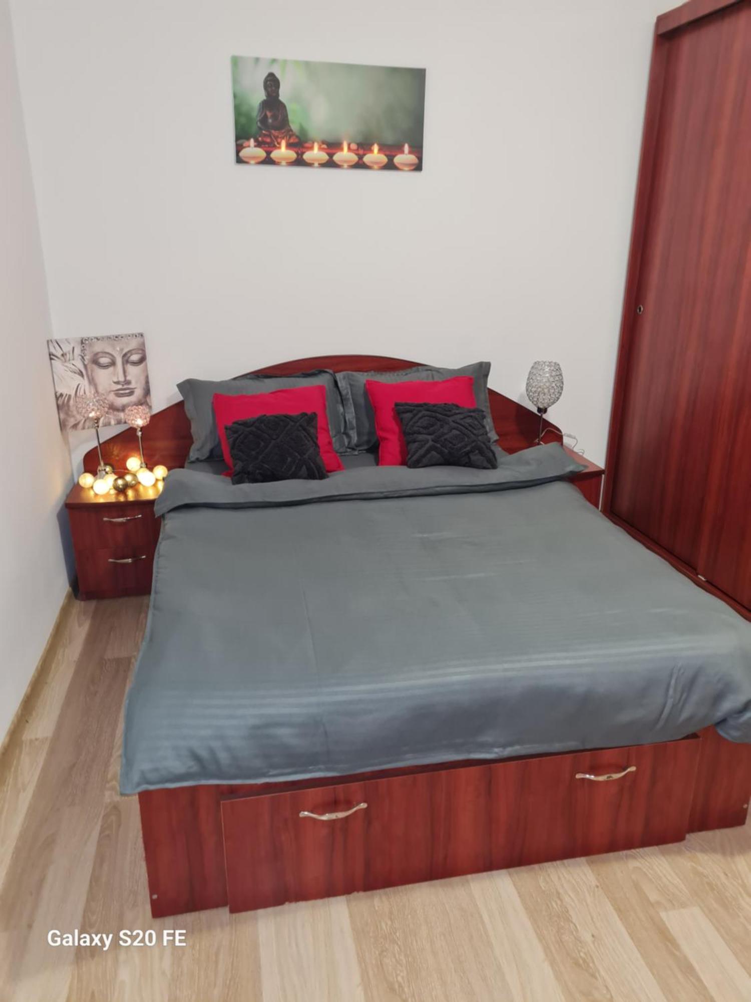 Ambient Cismigiu Apartment Bucharest Luaran gambar